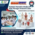Jual Manekin Medis dan Alat Peraga Phantom Simulasi Edukasi Mahasiswa Kesehatan