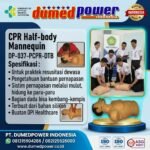 Jual Phantom Alat Peraga dan Pelatihan CPR Half-Body DP-037-PCPR-DTB DUMEDPOWER.