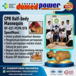 Jual Phantom Alat Peraga dan Pelatihan CPR Half-Body DP-037-PCPR-DTB DUMEDPOWER.