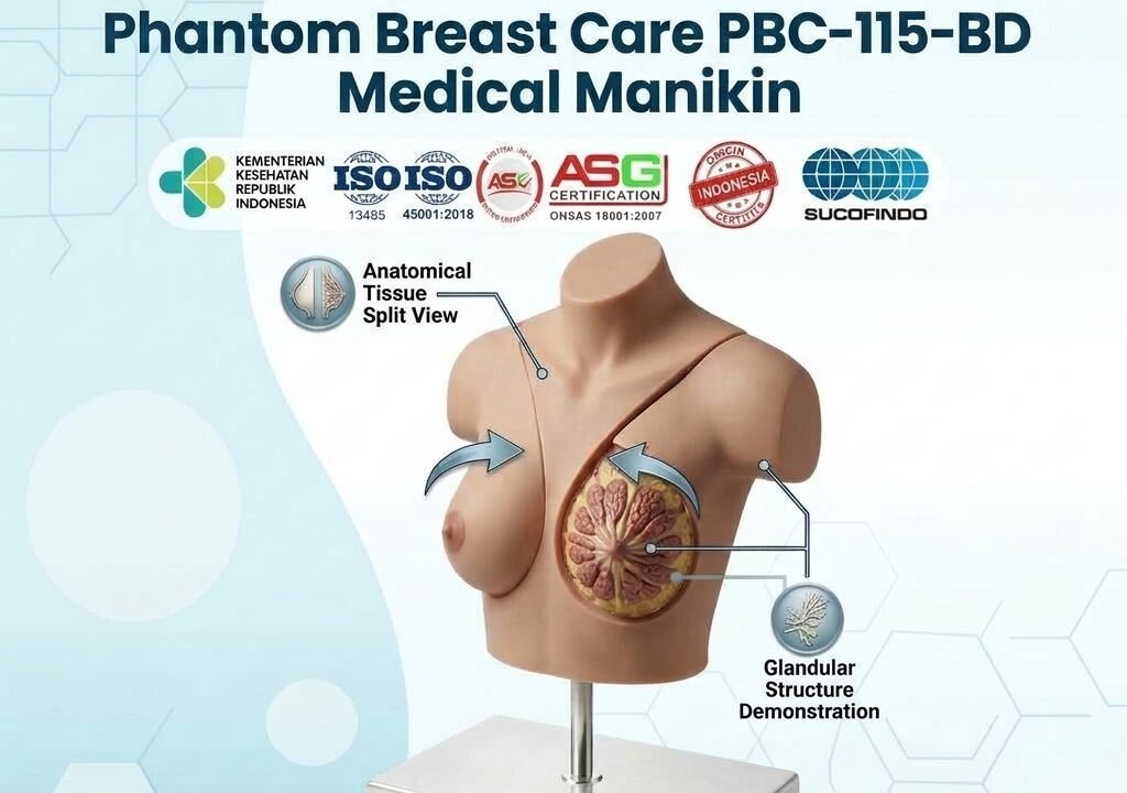 Jual Phantom Perawatan Payudara - Breast Care Mannequin PBC-115-BD DUMEDPOWER