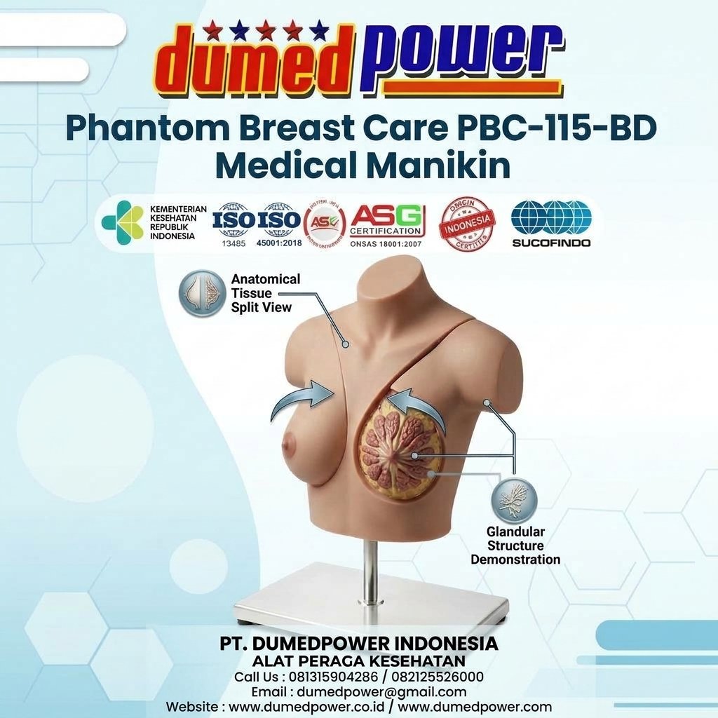 Jual Phantom Perawatan Payudara - Breast Care Mannequin PBC-115-BD DUMEDPOWER